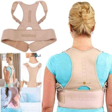 The Royal Posture Back Support Belt