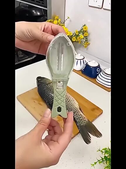 Fish Scale Scraper with Cover skin