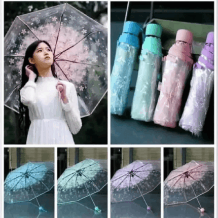 Transparent Umbrella ☂️ট্রান্সপারেন্ট ছাতা☂️