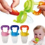 Baby Fresh Fruit Feeder