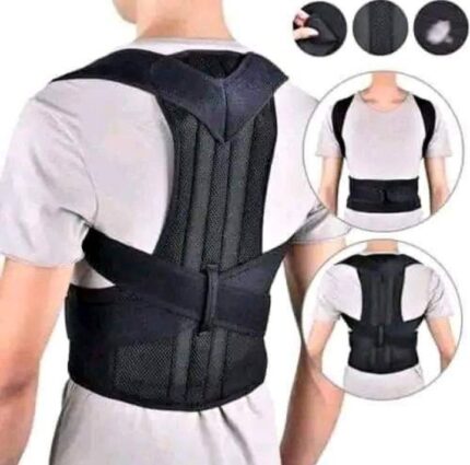 Back Support Belt